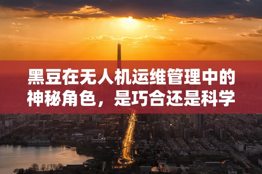黑豆在无人机运维管理中的神秘角色，是巧合还是科学？