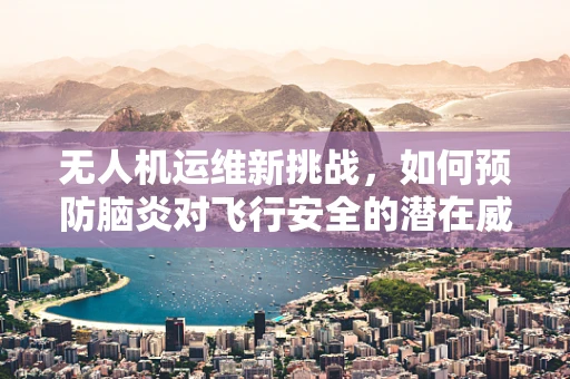 无人机运维新挑战，如何预防脑炎对飞行安全的潜在威胁？