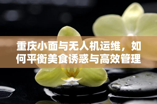 重庆小面与无人机运维，如何平衡美食诱惑与高效管理？