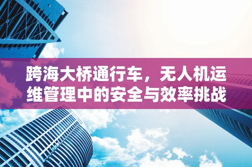 跨海大桥通行车，无人机运维管理中的安全与效率挑战