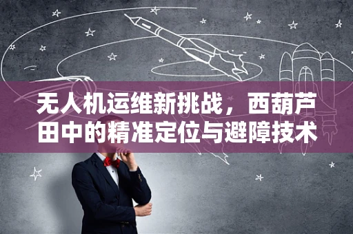 无人机运维新挑战，西葫芦田中的精准定位与避障技术