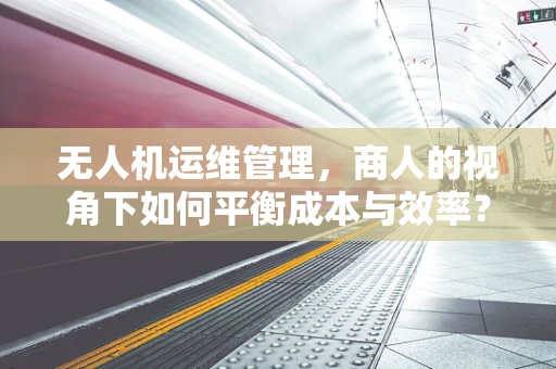 无人机运维管理，商人的视角下如何平衡成本与效率？