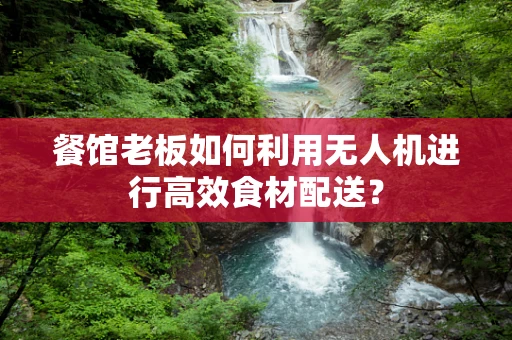 餐馆老板如何利用无人机进行高效食材配送？