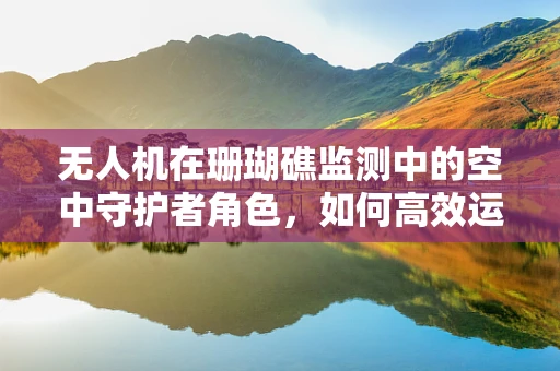 无人机在珊瑚礁监测中的空中守护者角色，如何高效运维？