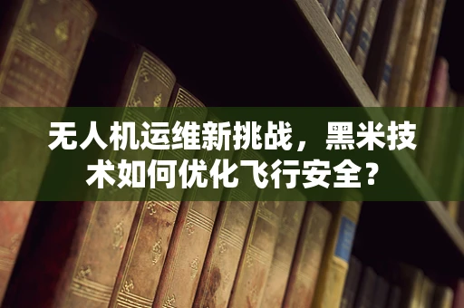 无人机运维新挑战，黑米技术如何优化飞行安全？