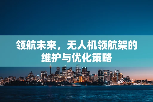 领航未来，无人机领航架的维护与优化策略