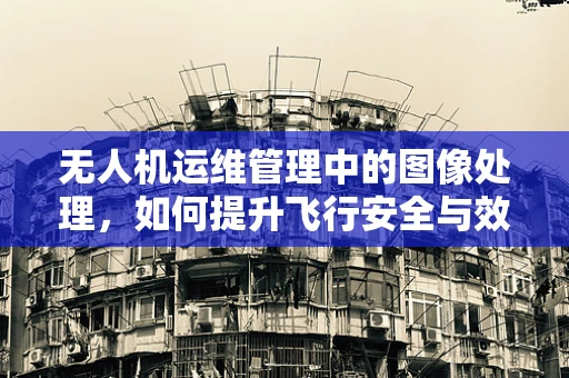 无人机运维管理中的图像处理，如何提升飞行安全与效率？