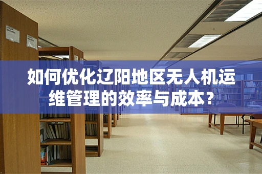 如何优化辽阳地区无人机运维管理的效率与成本？