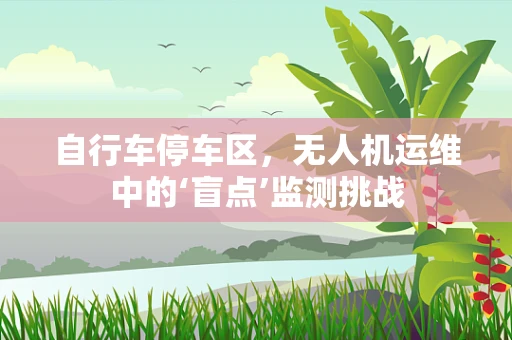 自行车停车区，无人机运维中的‘盲点’监测挑战