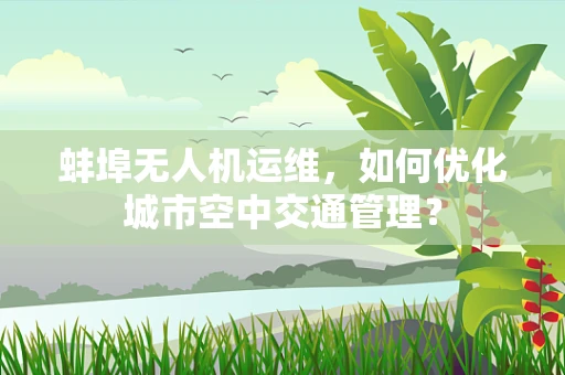 蚌埠无人机运维，如何优化城市空中交通管理？