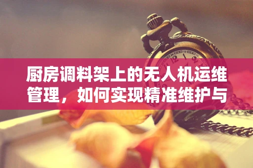 厨房调料架上的无人机运维管理，如何实现精准维护与高效调度？