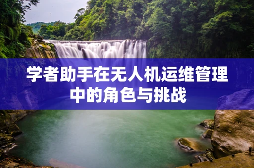 学者助手在无人机运维管理中的角色与挑战