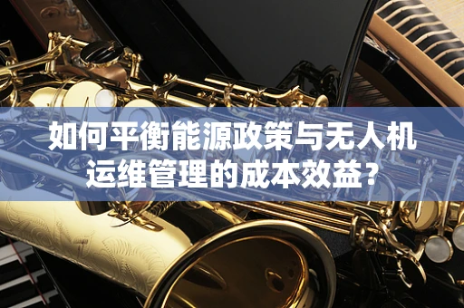 如何平衡能源政策与无人机运维管理的成本效益？