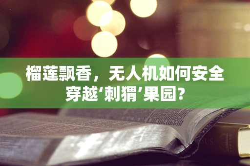 榴莲飘香，无人机如何安全穿越‘刺猬’果园？