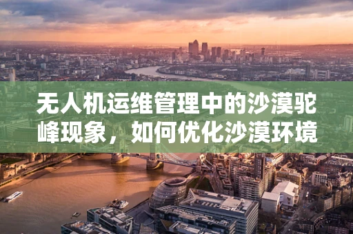 无人机运维管理中的沙漠驼峰现象，如何优化沙漠环境下的续航与导航？
