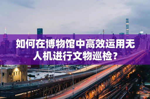 如何在博物馆中高效运用无人机进行文物巡检？