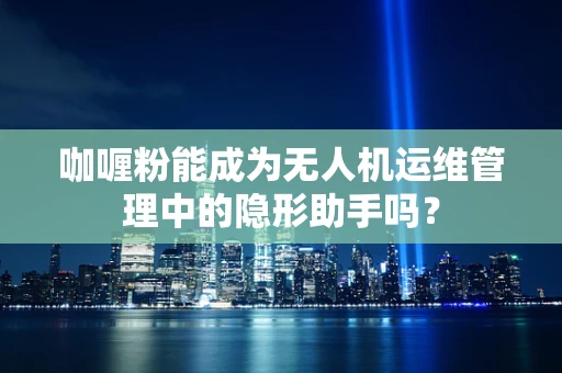 咖喱粉能成为无人机运维管理中的隐形助手吗？