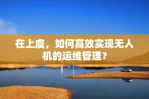 在上虞，如何高效实现无人机的运维管理？
