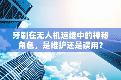 牙刷在无人机运维中的神秘角色，是维护还是误用？