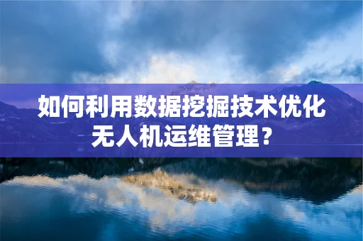 如何利用数据挖掘技术优化无人机运维管理？
