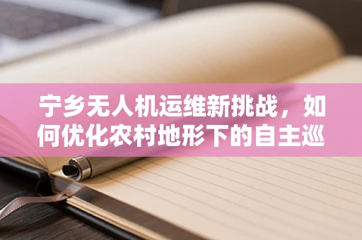 宁乡无人机运维新挑战，如何优化农村地形下的自主巡检效率？