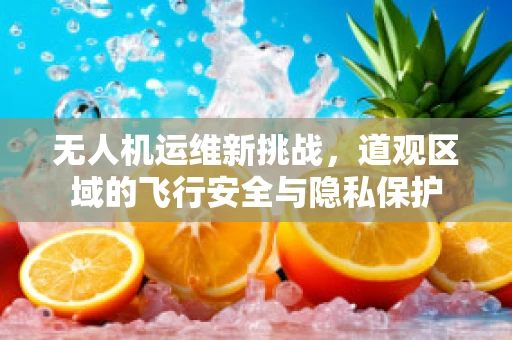 无人机运维新挑战，道观区域的飞行安全与隐私保护