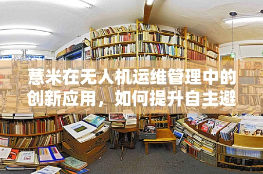 薏米在无人机运维管理中的创新应用，如何提升自主避障能力？