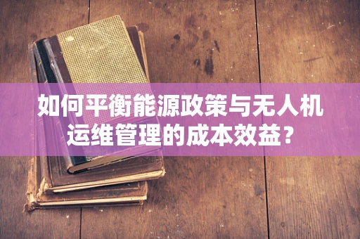 如何平衡能源政策与无人机运维管理的成本效益？