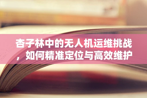 杏子林中的无人机运维挑战，如何精准定位与高效维护？