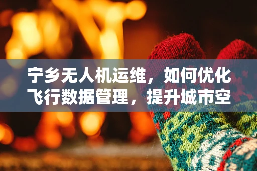 宁乡无人机运维，如何优化飞行数据管理，提升城市空中巡检效率？