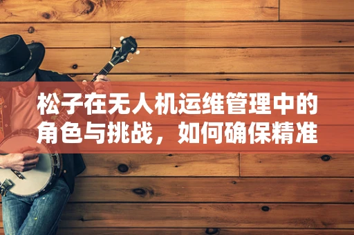 松子在无人机运维管理中的角色与挑战，如何确保精准投放与回收？