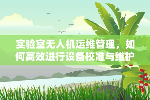 实验室无人机运维管理，如何高效进行设备校准与维护？