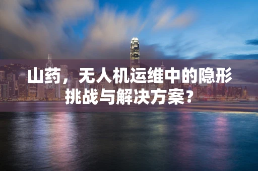 山药，无人机运维中的隐形挑战与解决方案？
