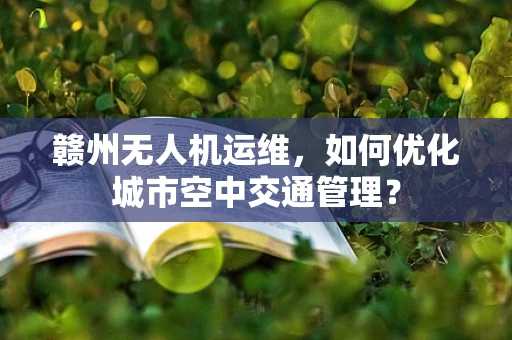 赣州无人机运维，如何优化城市空中交通管理？