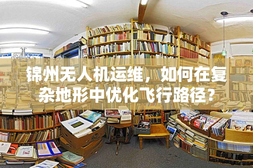 锦州无人机运维，如何在复杂地形中优化飞行路径？