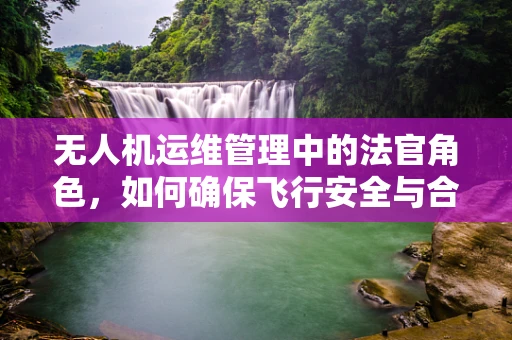 无人机运维管理中的法官角色，如何确保飞行安全与合规性？