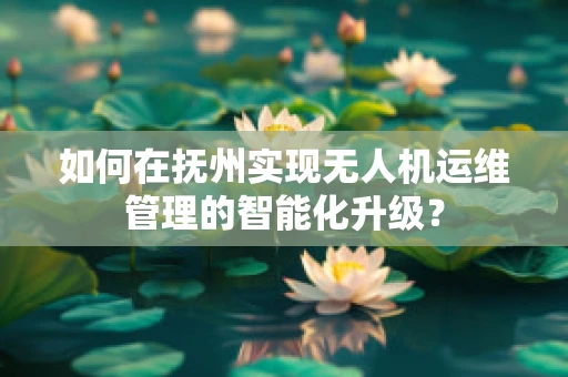 如何在抚州实现无人机运维管理的智能化升级？