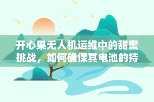 开心果无人机运维中的甜蜜挑战，如何确保其电池的持续‘微笑’？