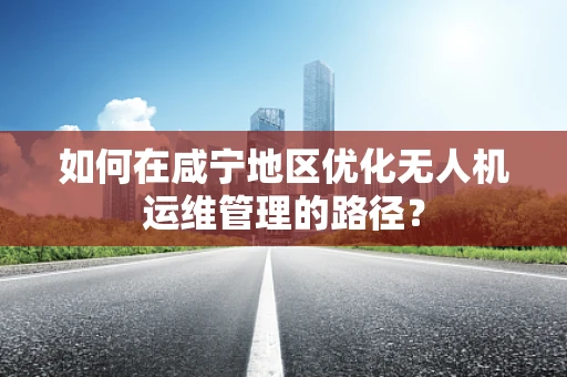 如何在咸宁地区优化无人机运维管理的路径？