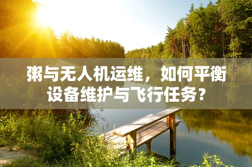 粥与无人机运维，如何平衡设备维护与飞行任务？