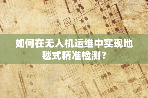 如何在无人机运维中实现地毯式精准检测？