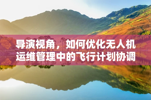 导演视角，如何优化无人机运维管理中的飞行计划协调？