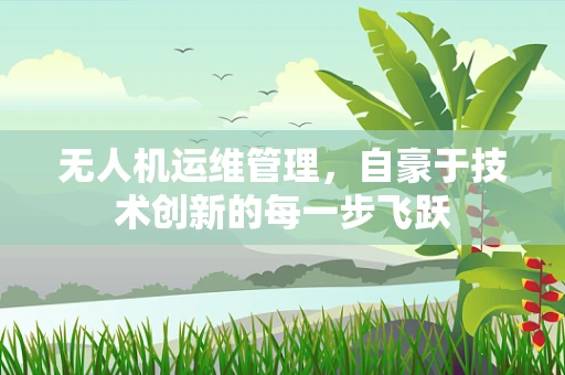 无人机运维管理，自豪于技术创新的每一步飞跃