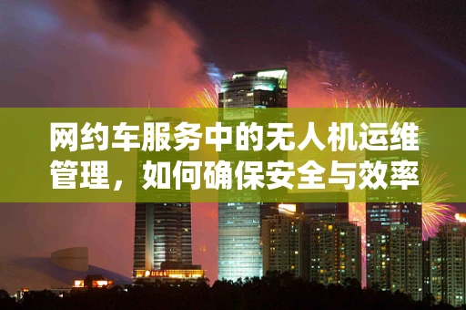 网约车服务中的无人机运维管理，如何确保安全与效率？