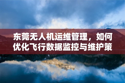 东莞无人机运维管理，如何优化飞行数据监控与维护策略？
