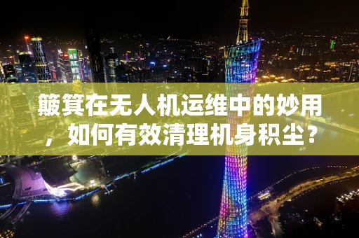 簸箕在无人机运维中的妙用，如何有效清理机身积尘？