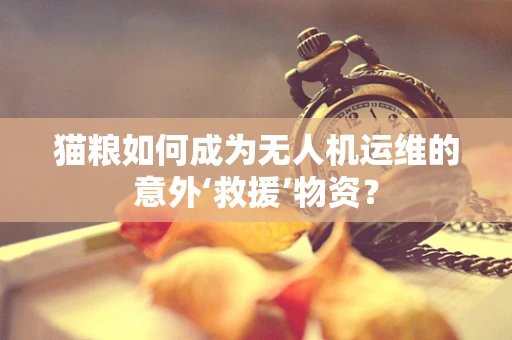 猫粮如何成为无人机运维的意外‘救援’物资？