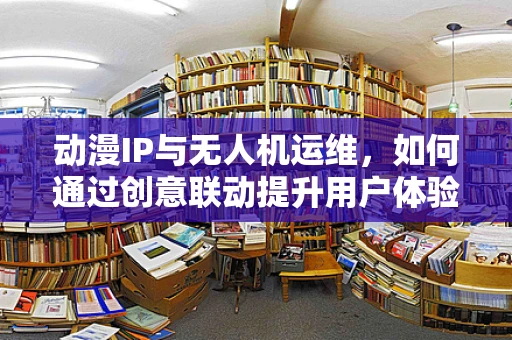 动漫IP与无人机运维，如何通过创意联动提升用户体验？