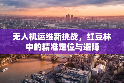 无人机运维新挑战，红豆林中的精准定位与避障