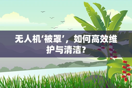 无人机‘被罩’，如何高效维护与清洁？